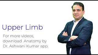 Upper Limb Anatomy  Part 1 NEET PG [upl. by Erdda]