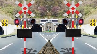 rail road rail crossing railway lineviralvideo 踏切アニメ踏切fumkari 🚂🚆 [upl. by Ahseyn]