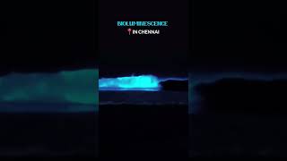 Bioluminescence✨ ytshorts shortsfeed chennai bioluminescence ytshorts [upl. by Alasteir]