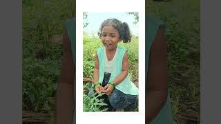 Chandamama Raave  Chitti Chilakamma Short  Telugu Rhyme Short Video  Kinder Network [upl. by Ulises]