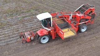 Harvesting potatoes with Grimme [upl. by Riaj]