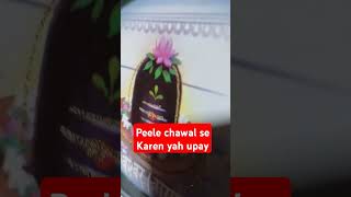 Peele chawal se Karen yah upay upay shortvideo astrologyupay motivation vastuupay [upl. by Adlig]