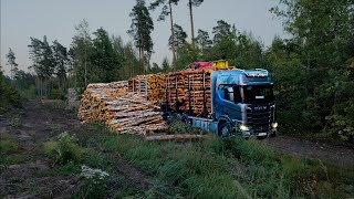 Simple reversing Loading birch pine and spruce pulpwood [upl. by Ozzy505]