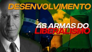 AS FALÁCIAS LIBERAIS  Processo de Desenvolvimento [upl. by Petronille309]