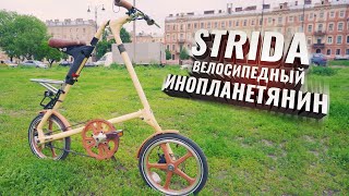 STRIDA Велосипедный инопланетянин [upl. by Scheider983]