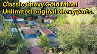 Goldmine of Classic Chevy cars thousands of original parts left to rust SS cars Impalas Nomads [upl. by Adnir]