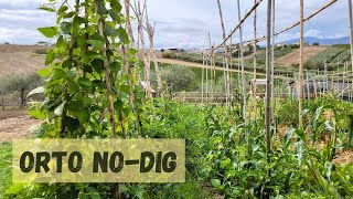 Coltivare senza lavorare il terreno Il progetto Akape di agricoltura rigenerativa e permacultura [upl. by Remos518]