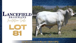 Lot 81 Lancefield S Maloney 6614  1 PS [upl. by Erlin622]