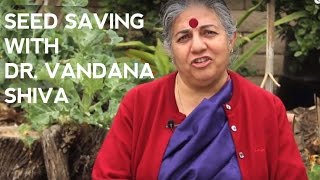 Saving Seeds at Home with Vandana Shiva [upl. by Alfred]