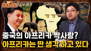 송태진 작가 ‖기회의 땅 아프리카 하지만 아프리카 국민은 지금 중국이 싫습니다 2부  세계경제여행 [upl. by Stringer]