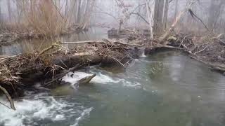 Drone Winter Capture Of An Ohio Trout Stream drone dji [upl. by Ingeborg760]