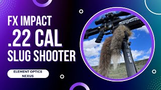 Six Months wthe FX Impact M3 amp Element Optics Nexus  Shooting Slugs in an Air Rifle in 22 Caliber [upl. by Geraint]