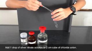 Testing of Chloride Anion  silver nitrate and nitric acid [upl. by Reffineg924]