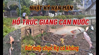 HẠN MẶN LỊCH SỬ MIỀN TÂY  Bến Tre HỒ TRÚC GIANG CẠN NƯỚC  climatechange  Camera Of life [upl. by Critta]