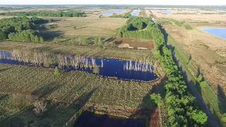 Meerstalblokken Bargerveen 26 mei 2017 gefilmd met drone [upl. by Nohcim]