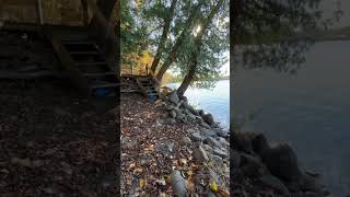 Lakefront Cottage for Sale South Hero Vermont  Lake Champlain Home For Sale [upl. by Odrahcir411]