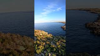 Scoglio delleremita isolotto San Paolo a Polignano a Mare puglia mare polignano [upl. by Grannie943]