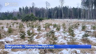 032024 Úhel pohledu  Obnova hlineckých lesů [upl. by Algar]