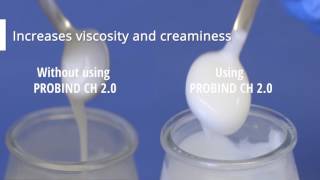 PROBIND® CH 20 Transglutaminase in Yogurt and Fermented Milk Products [upl. by Biddick]