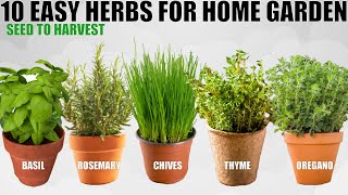 Top 10 Easy To Grow Herbs For Beginners  SEED TO HARVEST [upl. by Treblah496]