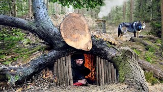 Building a secret survival dugout under a fallen tree [upl. by Papst]