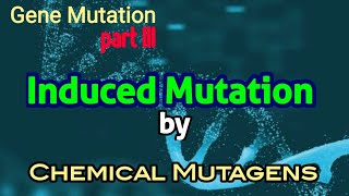 Chemical Mutagens  Induced Mutation  Gene Mutation [upl. by Daffi]