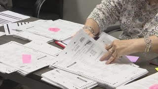 Pitt County election workers conducting handeye count during canvassing [upl. by Evvie]