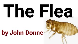 The Flea by John Donne [upl. by Tadashi]