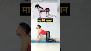 marjariasana yoga beginners yogalife flexibility backpain explore ytshorts shorts foryou [upl. by Maharg688]