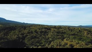 Rainforestation in the Cagayan de Oro River Basin [upl. by Hennessey738]