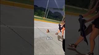 TROVANO UN PICCOLO GUFO E…🦉🥹animals viralvideo viralshorts life help cute [upl. by Tteraj]