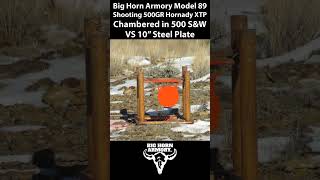 Big Horn Armory Model 89 VS 10quot Steel Target [upl. by Alokin]