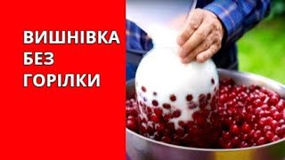 🔴 УКРАЇНСЬКА ВИШНІВКА Хороший рецепт без горілки NEWSplusUA [upl. by Blackwell]