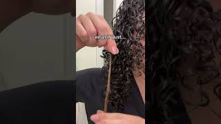 I’TS NOT PERMANENT  curly curlyhairstyles foryou hair hairgrowth fypシ゚viral afro [upl. by Aynekat]