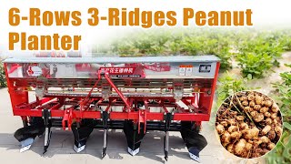 6Rows 3Ridges Peanut Planter  Efficient and Precise Seedingpeanut groundnut peanutfarming [upl. by Nicol]