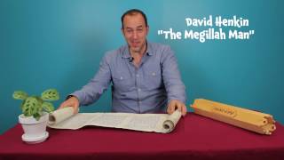 The Purim Megillah for kids An introduction to the scroll [upl. by Ebner]