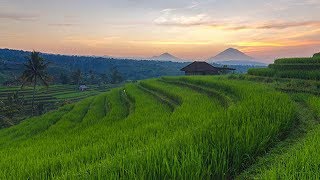 Relaksasi Musik Sunda di Jatiluwih [upl. by Serge]