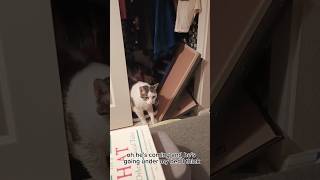 Ziggy Wont Leave Closet [upl. by Ariajay785]