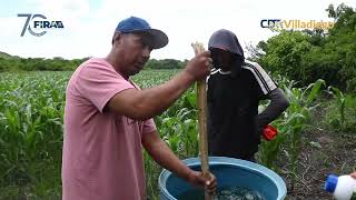 Refuerzo de Microorganismos en el Cultivo Maíz de Temporal [upl. by Firman]