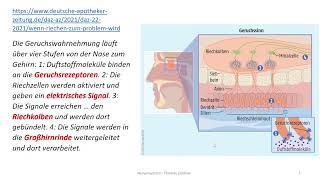 Nervensystem 11 Hirnnerv I  Riechnerv  olfaktorisches System [upl. by Georgena676]