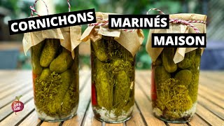 CORNICHONS MARINÉS MAISON 🥒 Meilleure recette pickle [upl. by Anilahs155]