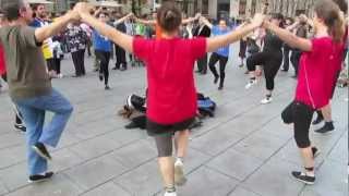 La Sardana  Danza en las calles de Barcelona [upl. by Groeg232]