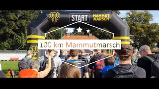 Mammutmarsch Berlin 2021 100 km Wanderung [upl. by Kerby991]