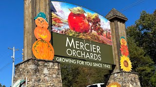 Mercier Orchard Blue Ridge Georgia [upl. by Eberto285]