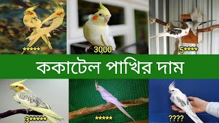 ককাটেল পাখির দাম  Cockatiel Bird Price In Bangladesh and India [upl. by Daberath]