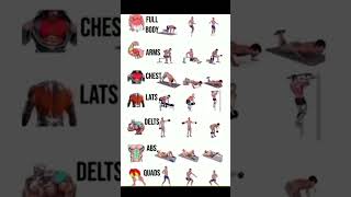 UPPER BODY WORKOUT WITH DUMBBELLS Shoulderforearmschesttricepsbackbiceps [upl. by Nosidda648]