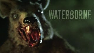 Waterborne  Zombie Kangaroo Short Film Official [upl. by Thenna900]