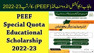 PEEF Special Quota Educational Scholarship 202223  The Punjab Educational Endowment Fund PEEF [upl. by Enerual]