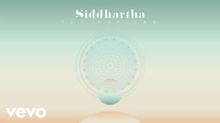 Siddhartha  Tus Pupilas Cover Audio [upl. by Bluhm795]