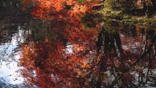 Stephane Grappelli amp Yehudi Menuhin  Autumn Leaves [upl. by Irual806]